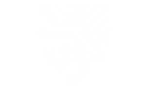 QxDesign vector logo examples branding service image